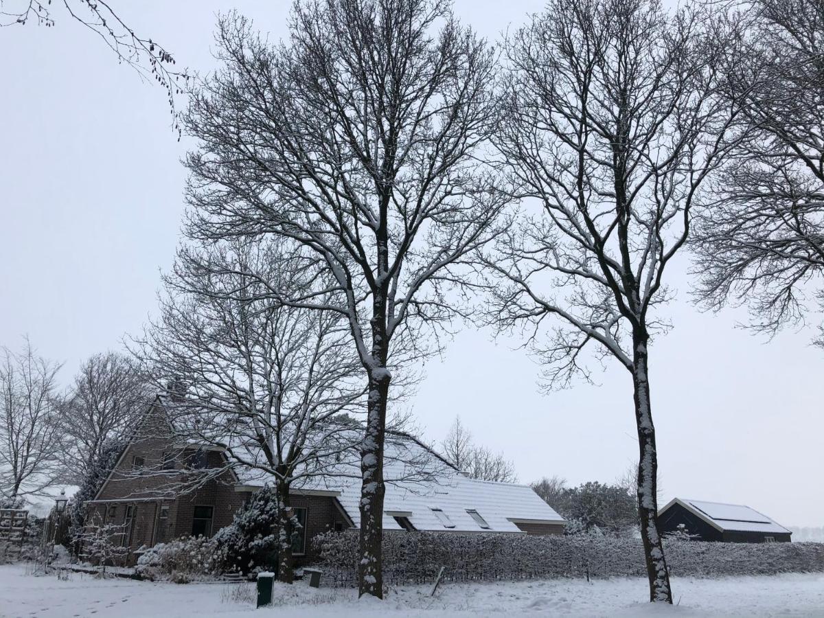 Bed&Breakfast Ter Borg Sellingen Exterior foto